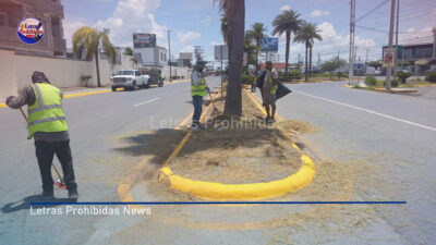 Impulsa Peña Ortiz desarrollo en Reynosa con trabajo multidisciplinario