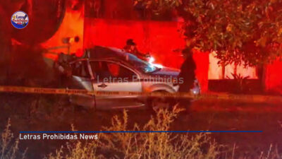 Muerte al volante en la Victoria-Monterrey tras brutal impacto contra un árbol