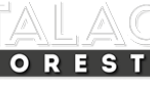 La Talacha Noreste