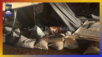 Vuelca tráiler cargado con croquetas para perro en la Rumbo Nuevo