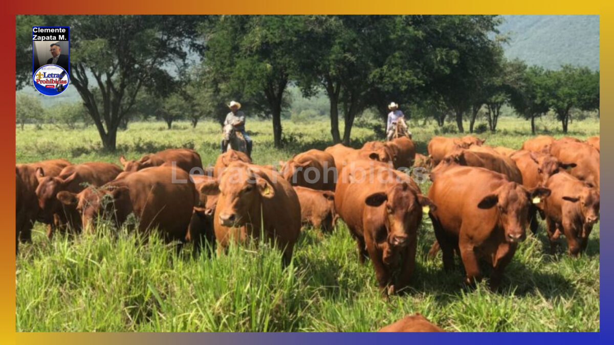 Reducen en Tamaulipas casos activos de gusano barrenador