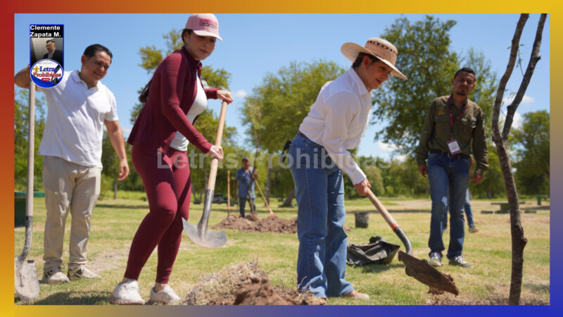 Gobierno de Carmen Lilia se suma a Jornada Nacional de Reforestación