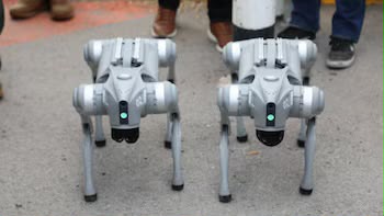 San Luis Potosí incorpora perros robot con Inteligencia Artificial a su estrategia de seguridad