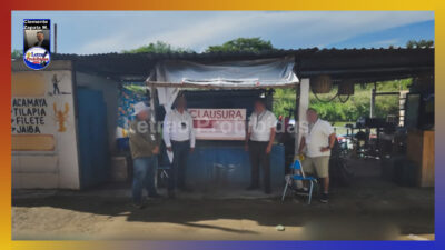 Les sale caro vender carne de cocodrilo; enfrentan 9 años de cárcel