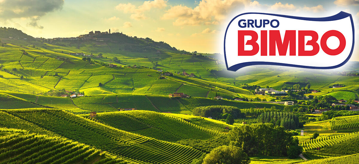 BIMBO SUPERA LAS 500,000 HECTÁREAS BAJO AGRICULTURA REGENERATIVA Y BUSCA LLEVAR TODOS SUS INGREDIENTES A ESTE MODELO PARA 2050