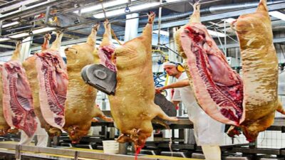 UN CARNICERO ES CONDENADO A 10 AÑOS DE CÁRCEL EN IRAK POR VENDER CARNE DE CERDO COMO SI FUERA RES