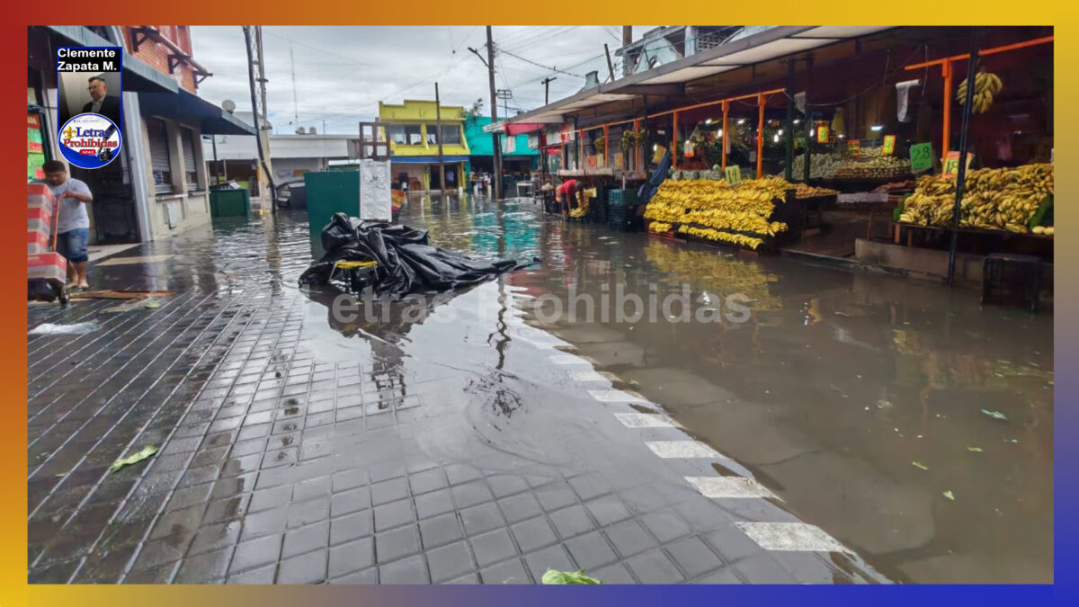 Demandan locatarios a Mónica Villarreal la construcción de dren tras brutales inundaciones