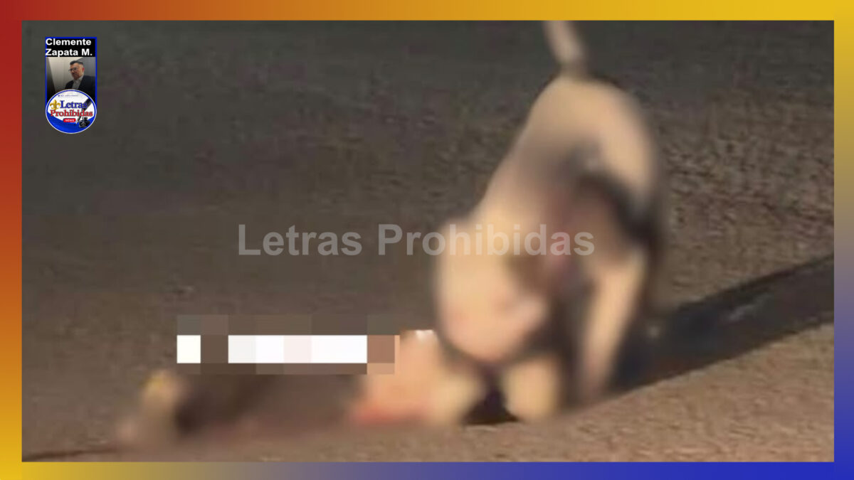 Oootro Pitbull mata a “lomito” y también ataca a dueña e hijo