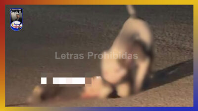 Oootro Pitbull mata a “lomito” y también ataca a dueña e hijo